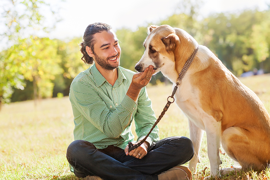 Questions to Ask Before Boarding Your Dog